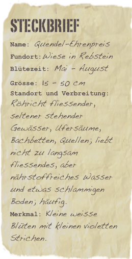 Steckbrief
Name: Quendel-EhrenpreisFundort:Wiese in RebsteinBlütezeit: Mai - August
Grösse: 15 - 50 cm
Standort und Verbreitung: Röhricht fliessender, seltener stehender Gewässer, Ufersäume, Bachbetten, Quellen; liebt nicht zu langsam fliessendes, aber nährstoffreiches Wasser und etwas schlammigen Boden; häufig.
Merkmal: Kleine weisse Blüten mit kleinen violetten Strichen.


